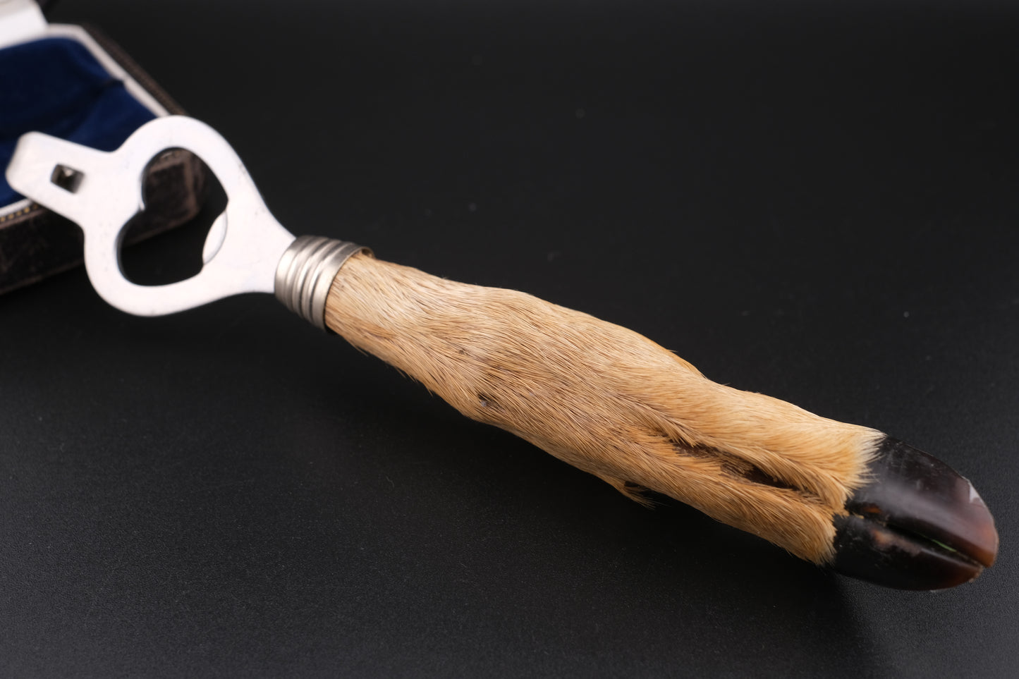 Vintage Deer Hoof Bottle Opener – Rustic Taxidermy Handle – 8" Lodge Bar Tool – Good Luck Gift for New Home or Man Cave