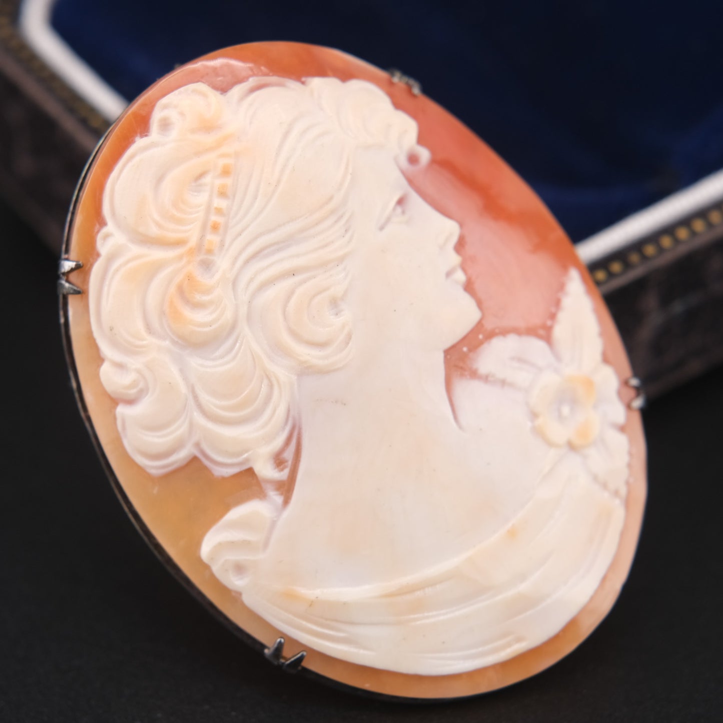 Antique Shell Cameo Brooch & Pendant – Hand-Carved Lady Portrait in Silver 800