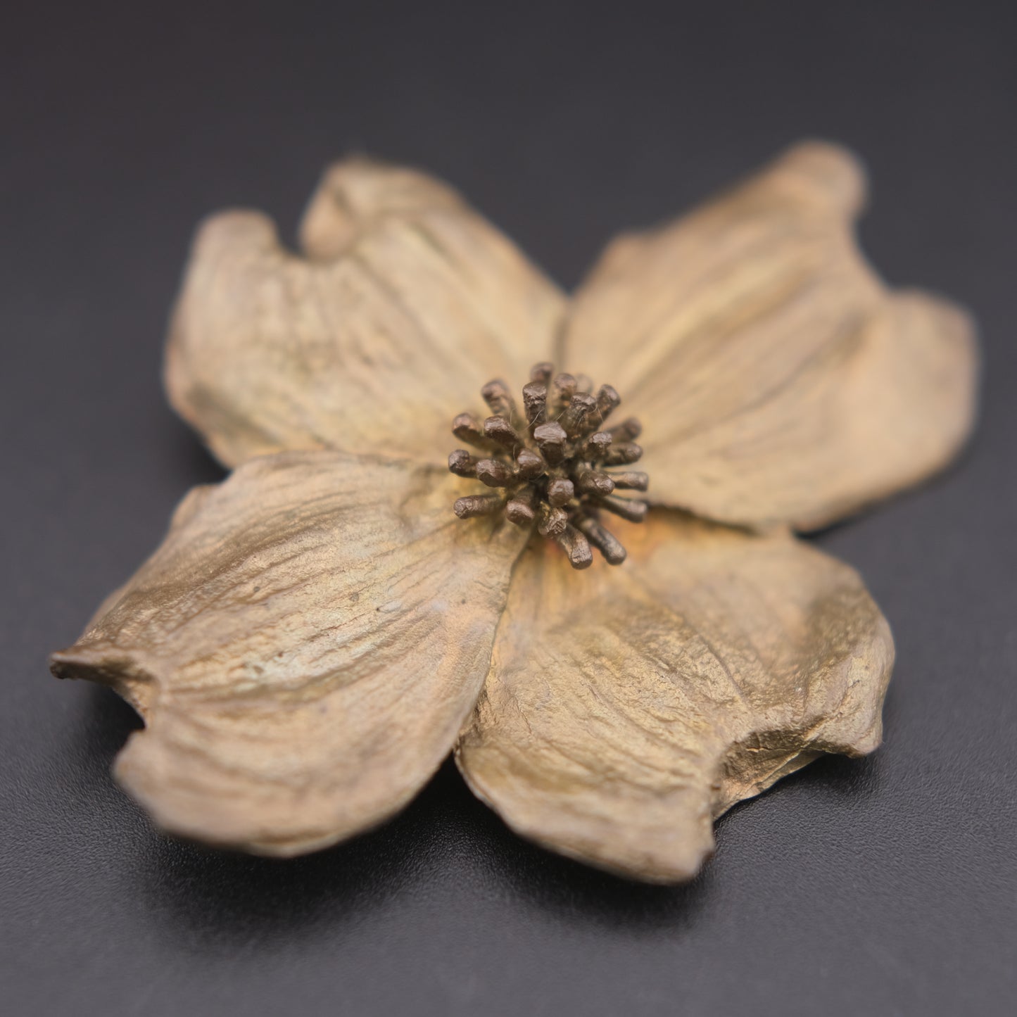 Michael Michaud Dogwood Brooch – Bronze with Silver & Copper Plated Petals